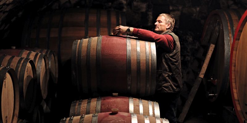 Ein Mann steht in einem Weinkeller und bearbeitet ein großes Weinfass. Um ihn herum sind weitere Fässer aus Holz. Die Atmosphäre ist dunkel und gedämpft.