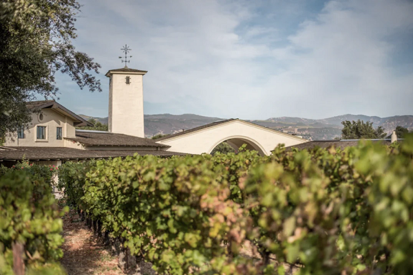 Ein Weingut mit grünen Weinreben im Vordergrund. Im Hintergrund ist ein Gebäude mit einem Turm und einer Bogenarchitektur zu sehen, umgeben von sanften Hügeln und einem blauen Himmel.