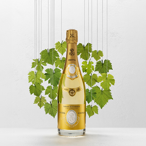 Eine Flasche Champagner steht auf einem weißen Hintergrund, umgeben von grünen Weinblättern. Die Flasche ist golden und trägt das Etikett von Louis Roederer, erkennbar als -Cristal Vintage-.