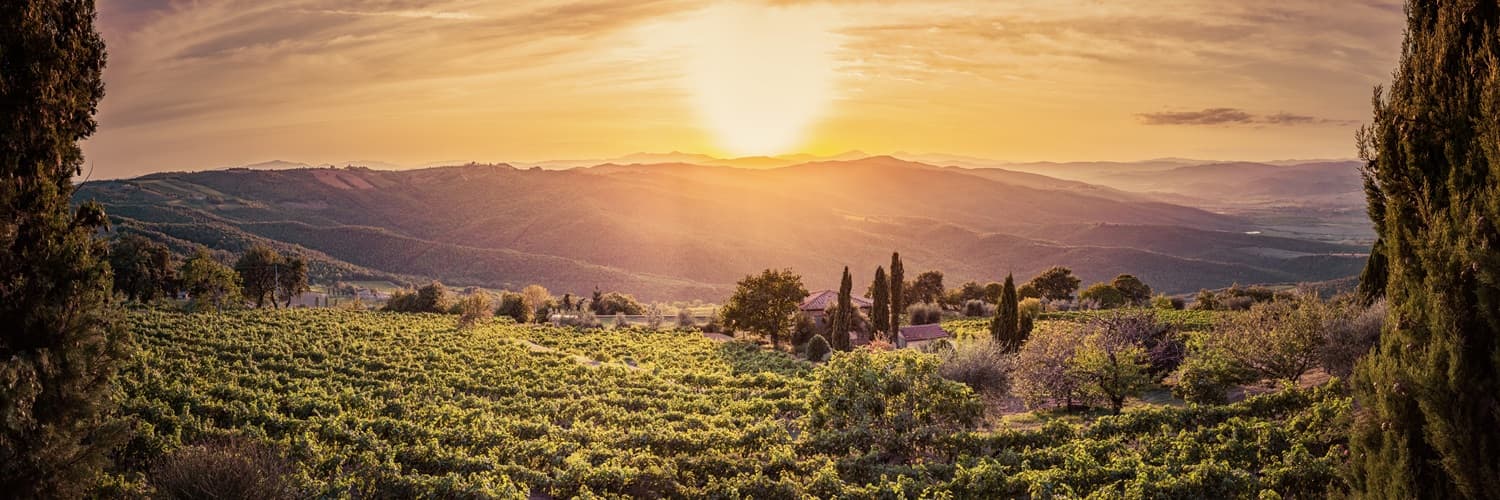 Ein bewaldeter Hügel mit terrassierten Weinbergen erstreckt sich über die Landschaft, während im Vordergrund ein kleiner Ort und weitere Weinreben sichtbar sind, unter einem bewölkten Himmel.
