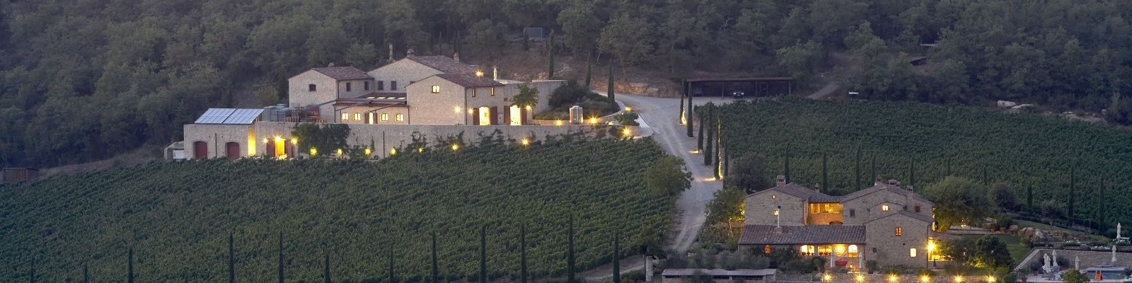 Toskana Weinberge