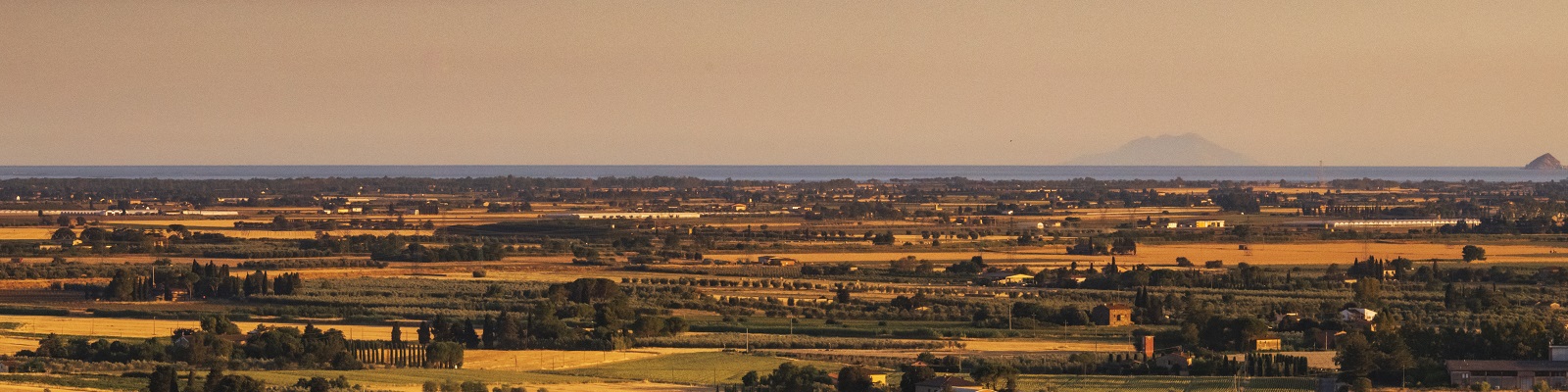 Tua Rita Weite Landschaft mit goldenem Feld, Bäumen und vereinzelten Gebäuden. Im Hintergrund erstreckt sich das Meer unter einem sanften Licht, während Hügel und Inseln am Horizont sichtbar sind.