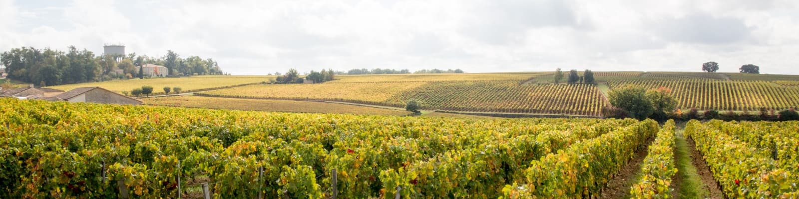 Bordeaux Weingut