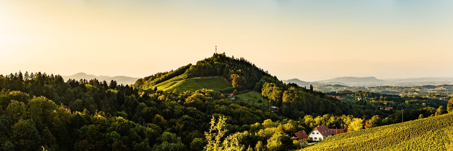 Weinstöcke wachsen in sanften Hügeln, während ein ländliches Haus im Hintergrund von Sonnenlicht beleuchtet wird. Ein ruhiger, idyllischer Landschaftsausblick mit viel grünem Laub umgeben.