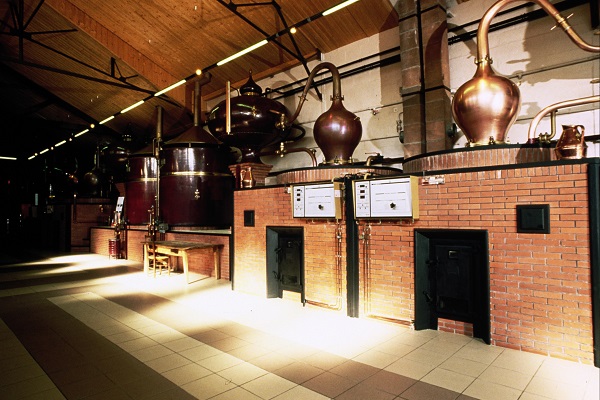 Kupferne Destillationsapparaturen stehen nebeneinander in einer Fabrikhalle. Sie sind auf einem Kachelboden platziert, beleuchtet von sanftem Licht. Die Umgebung wirkt industriell und gut gepflegt.