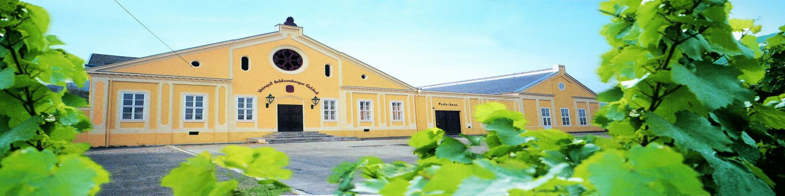 Robert Schlumberger Ein gelbes Gebäude mit großen Fenstern und einem runden Fenster im oberen Teil steht im Hintergrund. Im Vordergrund wachsen grüne Weinreben, die die Sicht teilweise verdecken.