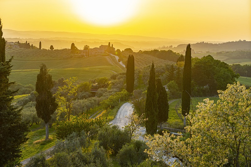 Eine sanfte Hügellandschaft ist durch gelbes Sonnenlicht erleuchtet. Zypressen und Obstbäume umgeben einen geschwungenen Weg, der zu einem kleinen Gebäude führt, in der Ferne sind weitere Hügel sichtbar.