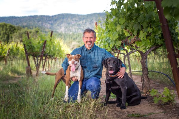 Ein Mann kniet zwischen zwei Hunden, einem braunen und einem schwarzen, in einem Weinberg. Umgeben von grünen Pflanzen, lächelt er und posiert für das Foto.