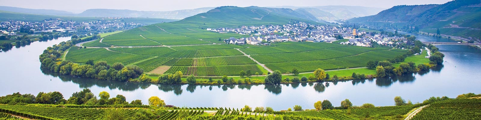 Weinberge am Fluss