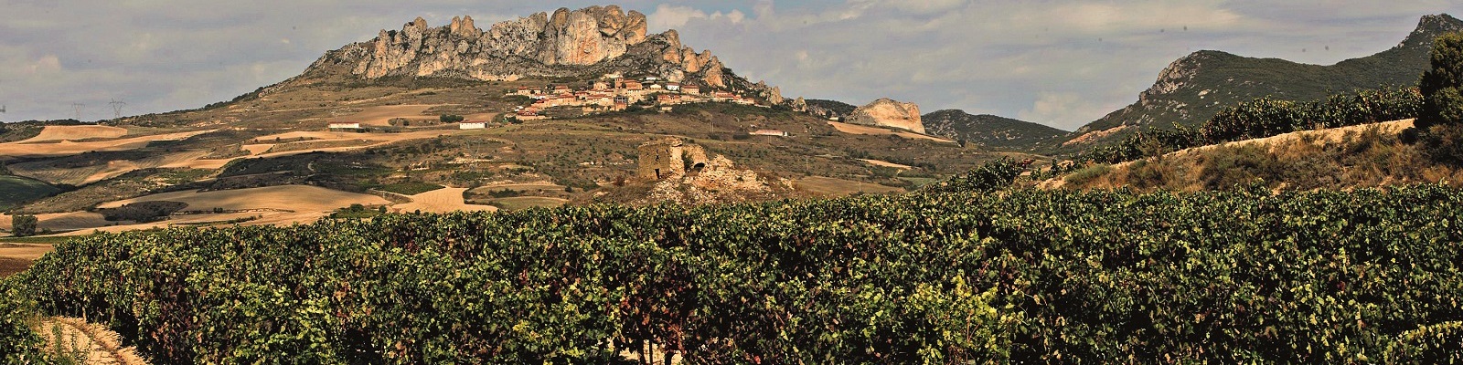 Spanische Weinberge