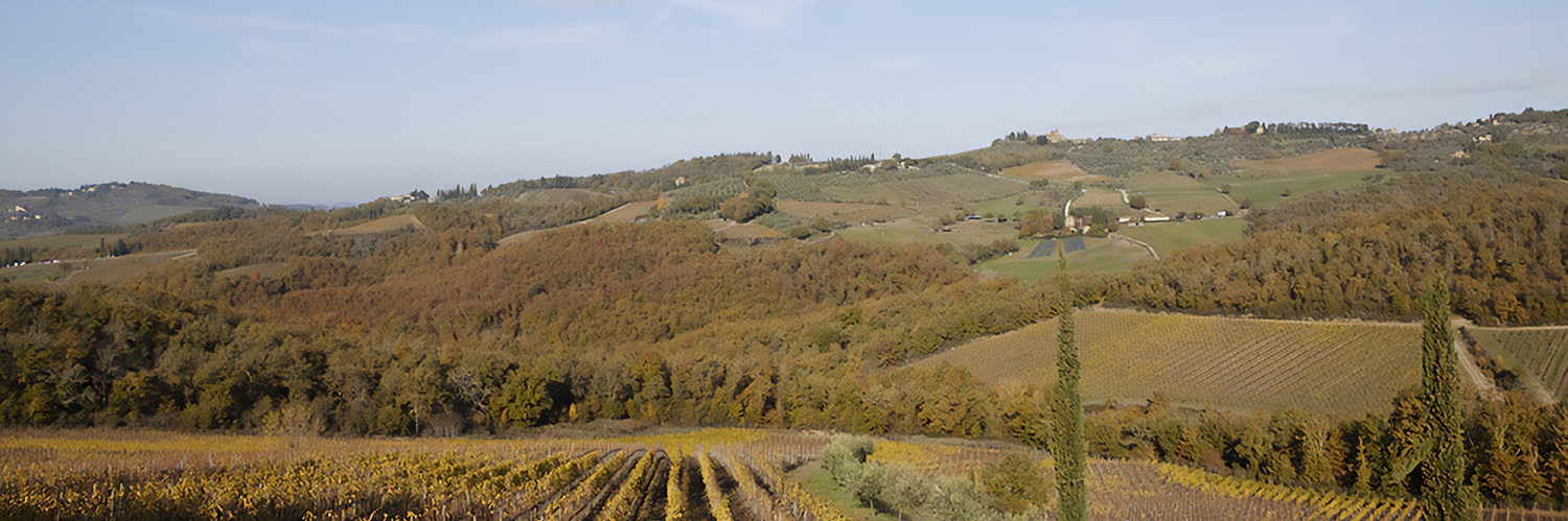 Bunte Weinberge erstrecken sich über sanfte Hügel, umgeben von bewaldeten Flächen und kleinen Wohnsiedlungen. Der Himmel ist klar und die Landschaft strahlt herbstliche Farben aus.