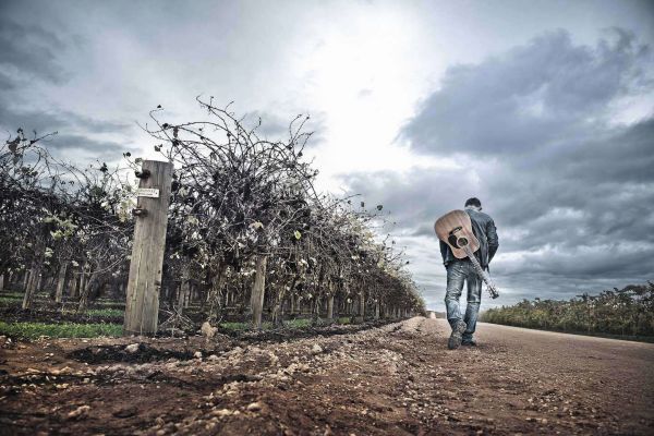 Ein Mann mit einer Gitarre geht auf einem Weg entlang von Weinreben. Der Himmel ist bewölkt und die Landschaft wirkt weitläufig und ländlich.