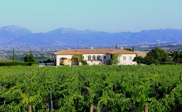 Ein Weinberg erstreckt sich vor einem großen, hellen Haus mit einem roten Ziegeldach. Die umliegende Landschaft umfasst sanfte Hügel und Berge im Hintergrund unter einem klaren blauen Himmel.