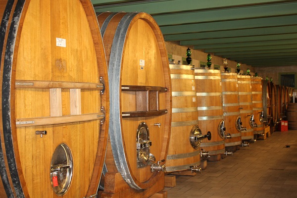 Holzfässer stehen in einer Reihe in einem Keller. Einige Fässer sind größer und mit Metallringen versehen. Die Umgebung wirkt rustikal und ist gut beleuchtet.