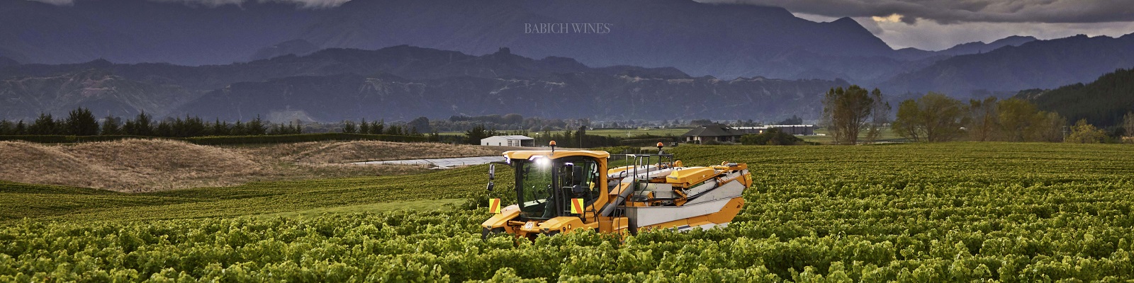 Babich Ein Traktor erntet Trauben in einem Weinberg. Im Hintergrund erstrecken sich grüne Hügel und hohe Berge unter einem bewölkten Himmel.