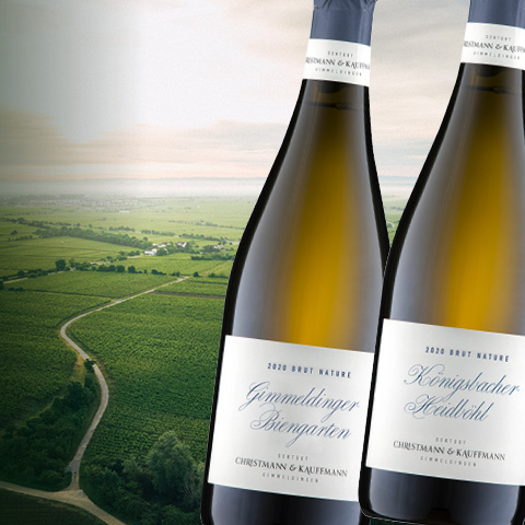 Zwei Flaschen Sekt stehen vor einer Landschaft mit sanften Hügeln und Weinreben. Im Hintergrund ist ein Weg zu sehen, der durch das grüne Terrain führt.