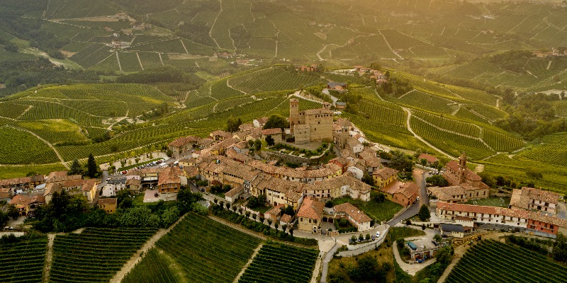 Eine kleine, historische Stadt liegt umgeben von sanften, grünen Hügeln und Weinreben. Im Zentrum steht ein mittelalterlicher Turm, während die Häuser sich entlang gewundener Straßen gruppieren.