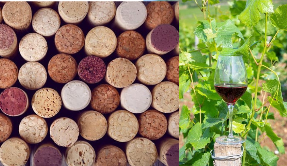 Vielfalt von Korken in verschiedenen Farbtönen liegt dicht nebeneinander. Daneben steht ein Glas Rotwein auf einem Holzpfosten, umgeben von grünen Weinblättern in einem Weinberg.