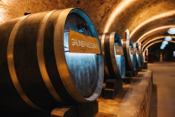 Holzfässer stehen in einem unterirdischen Weinkeller, beleuchtet von sanften Lichtquellen. Jedes Fass trägt ein metallenes Schild mit der Aufschrift -GRÜNER VELTLINER-. Der Raum hat eine gewölbte Decke.