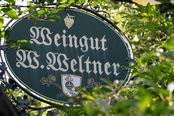 Ein ovales, grünes Schild mit der Aufschrift -Weingut W. Weltner-. Umgeben von grünen Pflanzen, zeigt das Schild Weintrauben und ein Wappen mit einem Kelch.