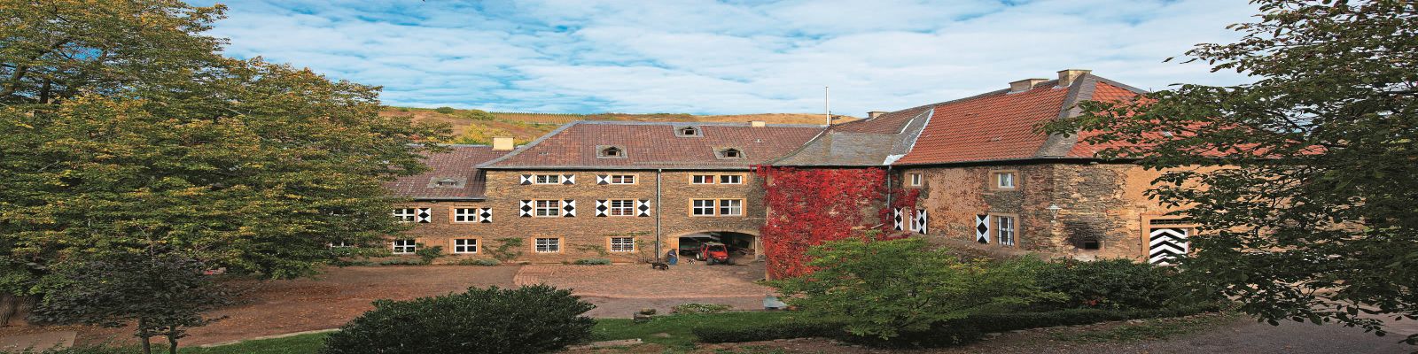 Prinz Salm Eine historische, mehrstöckige bâtiments mit roten und grauen Dächern, umgeben von Bäumen und Pflanzen. Der Innenhof ist sichtbar, und der Himmel ist leicht bewölkt.