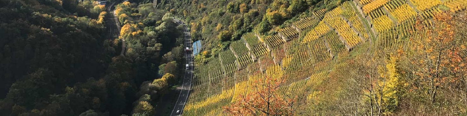 Deutzerhof Ein Hang mit Weinbergen ist zu sehen, auf dem sich bunte Laubwälder befinden. Eine kurvenreiche Straße verläuft in der Mitte, entlang der sich einige Fahrzeuge bewegen.