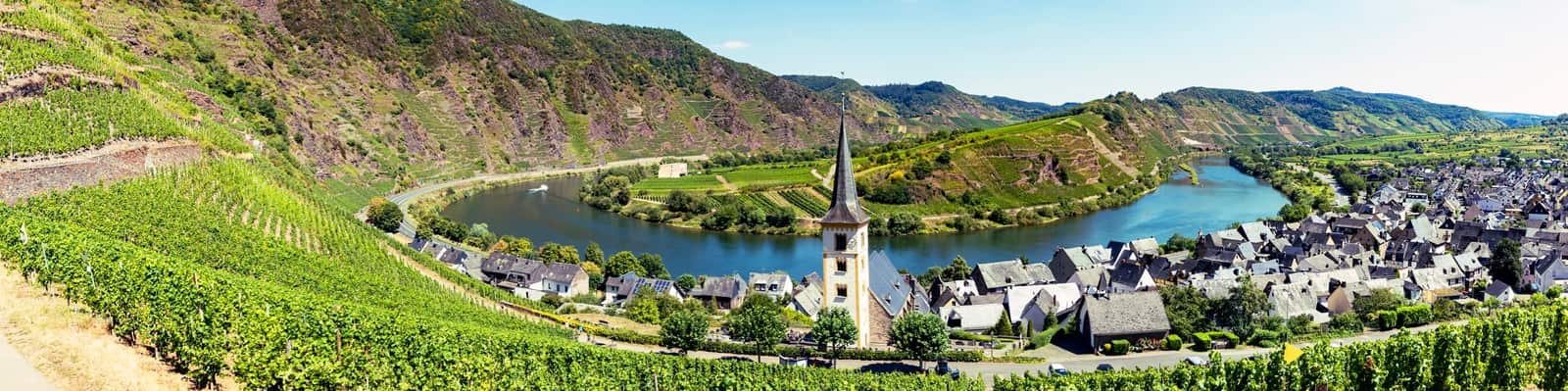 Mosel Weinberg
