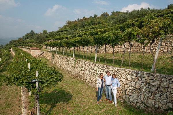 Drei Personen stehen auf einem Weinberg, umgeben von Reben und Steinmauern. Die Landschaft ist grün mit sanften Hügeln im Hintergrund unter einem hellblauen Himmel.