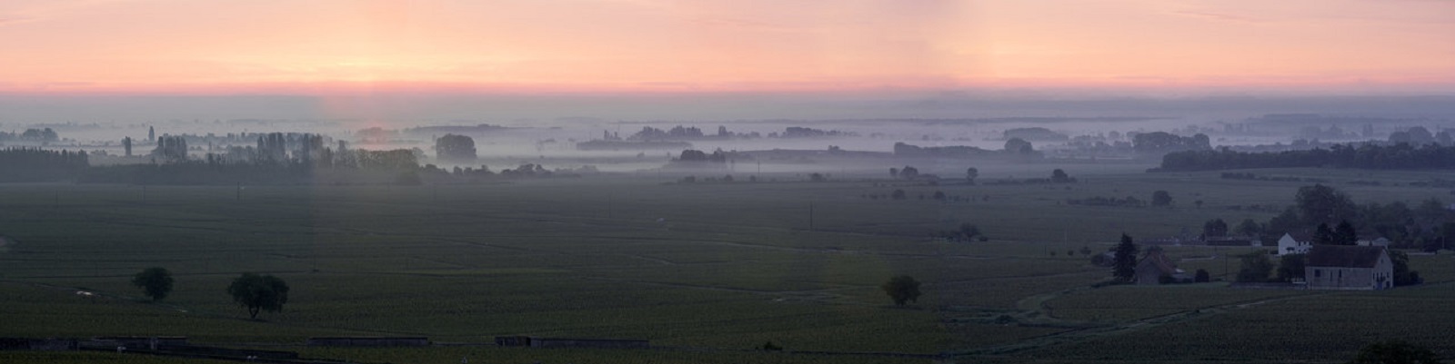 Domaine Leflaive