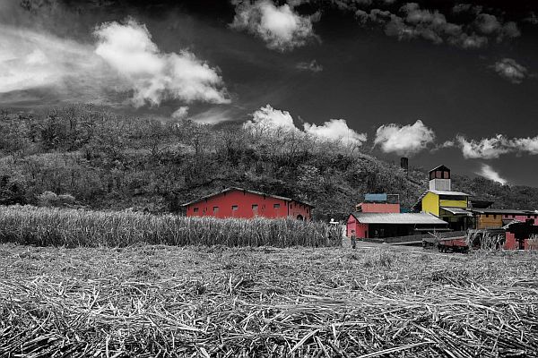 Farbenfrohe Gebäude stehen auf einem Feld mit Zuckerrohr, umgeben von trockenen Hügeln und unter einem bewölkten Himmel. Einzelne Personen sind in der Umgebung sichtbar.