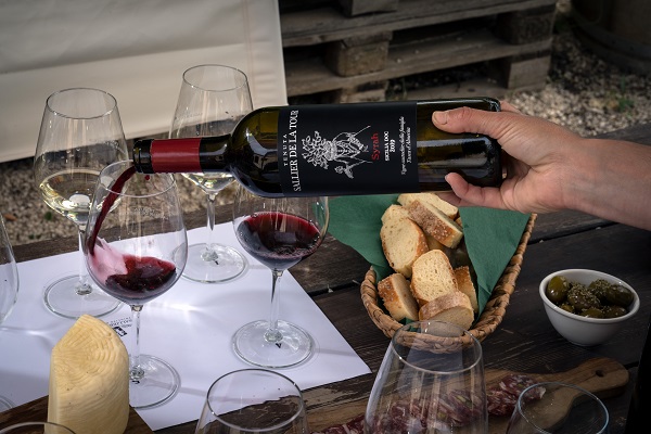 Sallier_Syrah_600 Sallier_Syrah_600