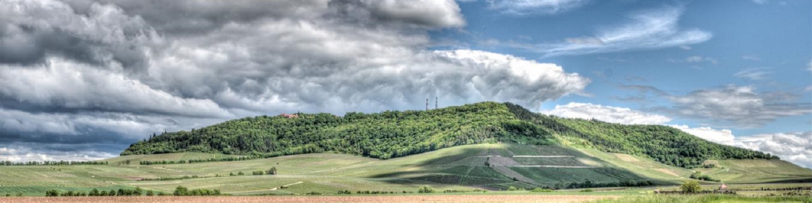 Weltner Ein bewaldeter Hügel erstreckt sich unter einem bewölkten Himmel, umgeben von grünen Feldern und sanften Hügeln. Im Hintergrund sind einige Strommasten sichtbar.