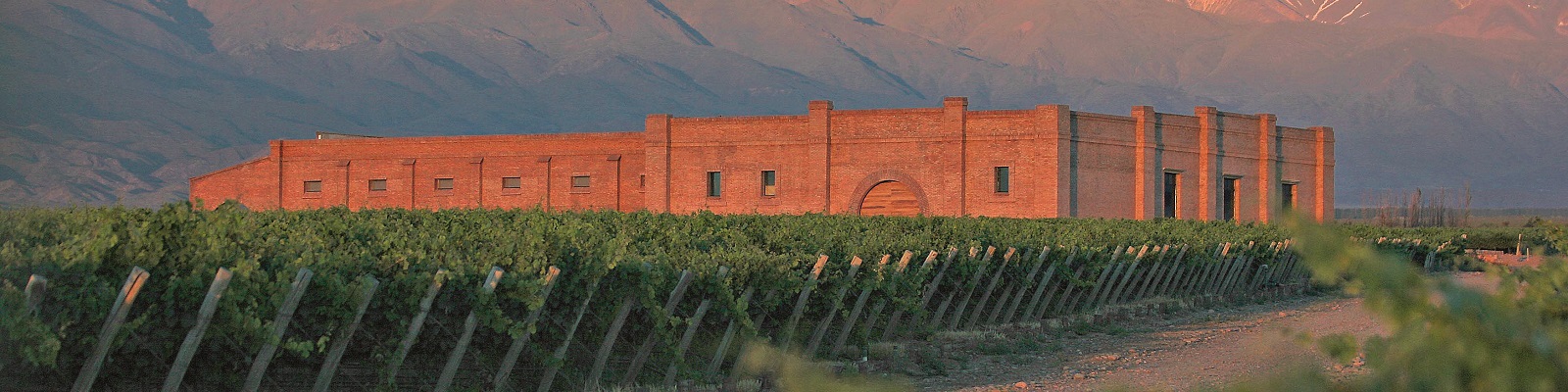 Andeluna Cellars