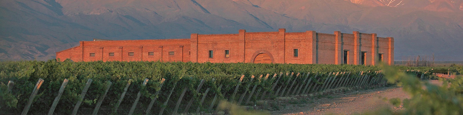 Andeluna Cellars