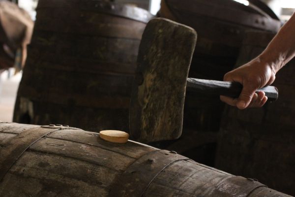 Ein Holzhammer wird über einem Fass gehalten, bereit, auf eine runde Holzscheibe zu schlagen, während mehrere Fässer im Hintergrund sichtbar sind.