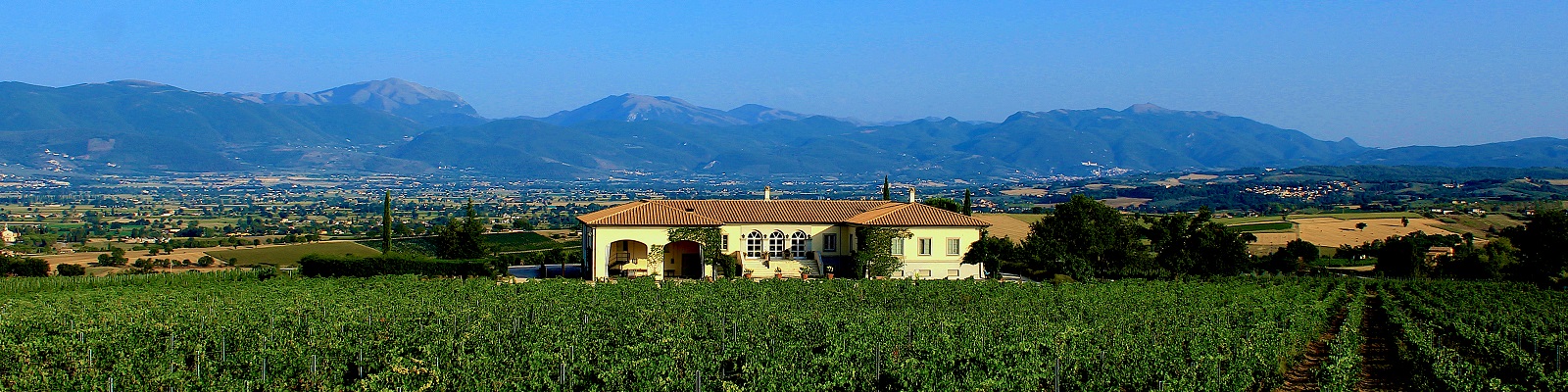 Lungarotti Ein Weingut steht im Vordergrund, umgeben von Weinreben. Im Hintergrund erstrecken sich Bergketten unter einem klaren blauen Himmel, während die Landschaft weitläufig und grün ist.