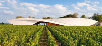Ein modernes Gebäude mit einer geschwungenen Dachlinie steht zwischen Reihen von Weinreben. Der Himmel ist blau mit wenigen Wolken, und die Umgebung ist grün und ländlich.