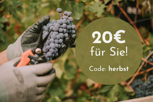 Herbst-Aktion 2024_600x400 Herbst-Aktion 2024_600x400