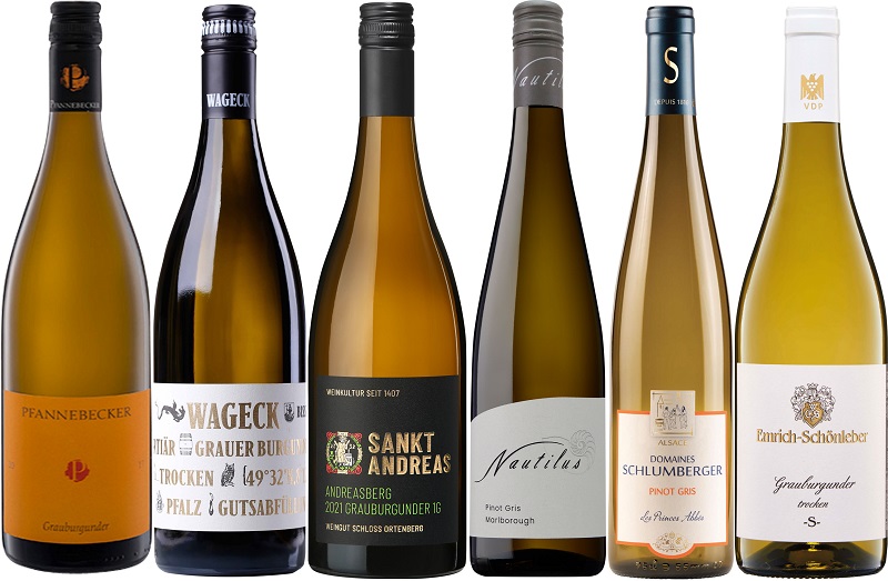 Best of Grauburgunder Weinpaket