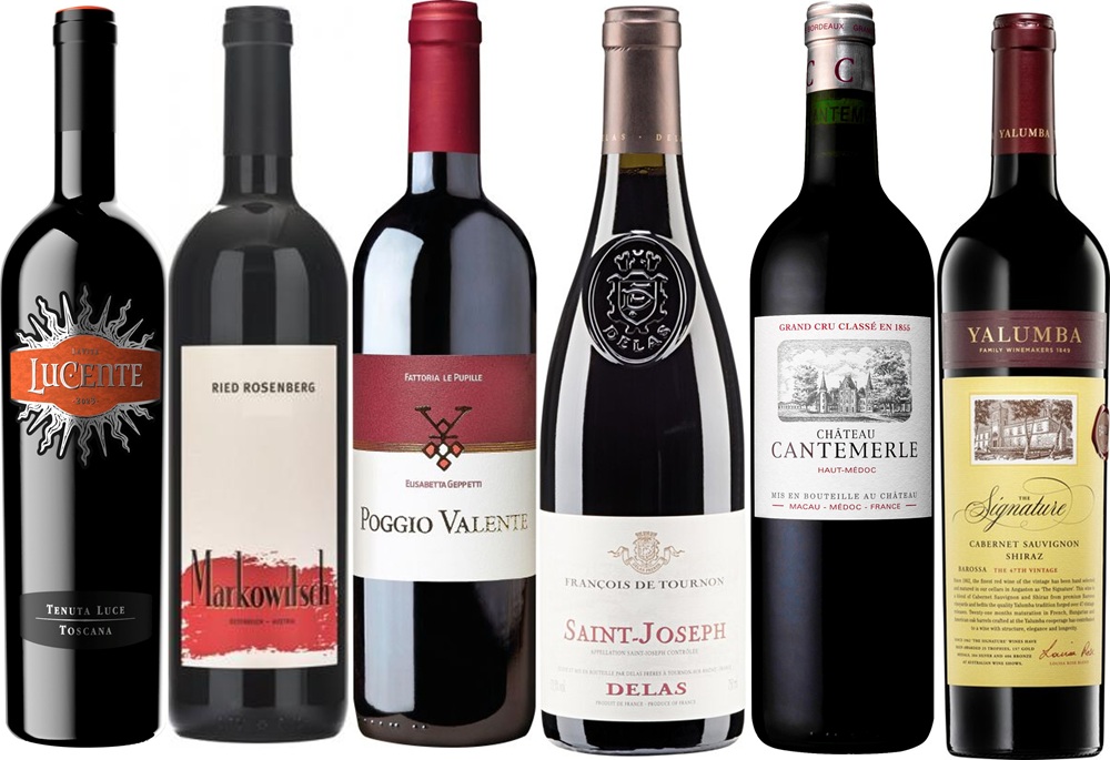 Sechs Weinflaschen stehen nebeneinander, jede mit unterschiedlichem Etikett und Design. Die Flaschen variieren in Form und Farbe, einige sind dunkel, andere haben hellere Etiketten.