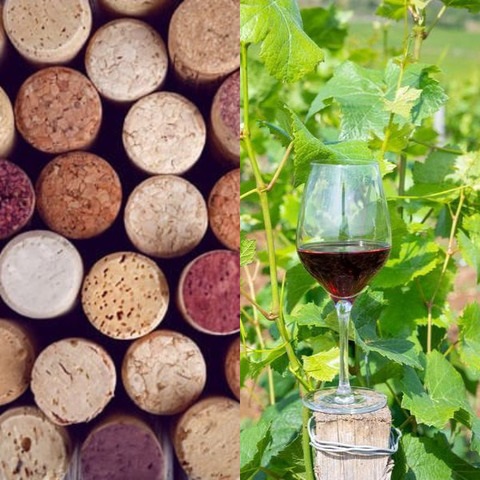 Weinflaschenverschlüsse liegen eng beieinander, während rechts ein Weinglas mit rotem Wein auf einem Pfosten steht, umgeben von grünen Weinreben.