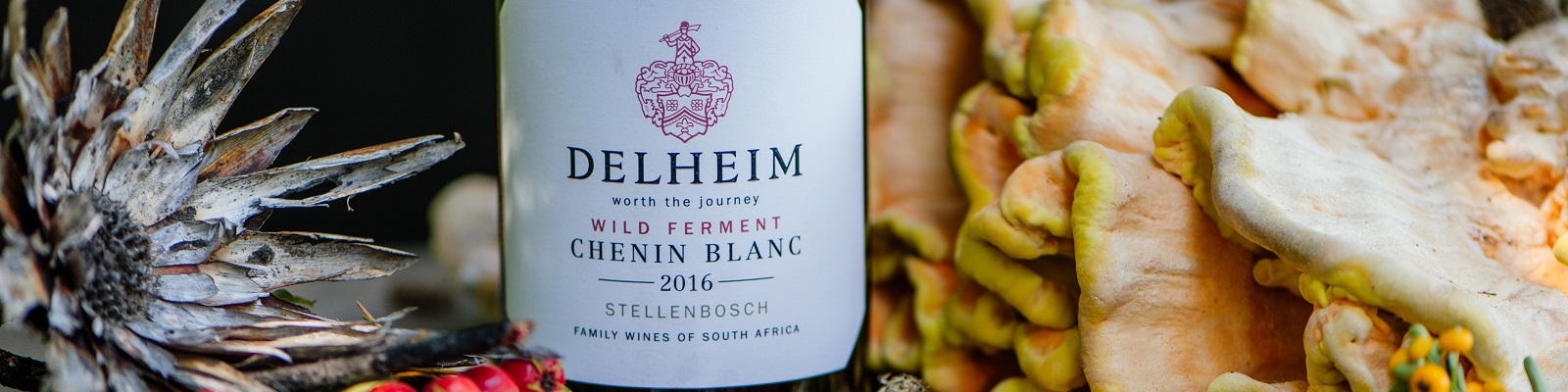 Delheim Ein Weinflasche mit dem Etikett -DELHEIM Wild Ferment Chenin Blanc 2016- steht inmitten von bunten Pilzen und Pflanzen, die eine natürliche Umgebung schaffen.