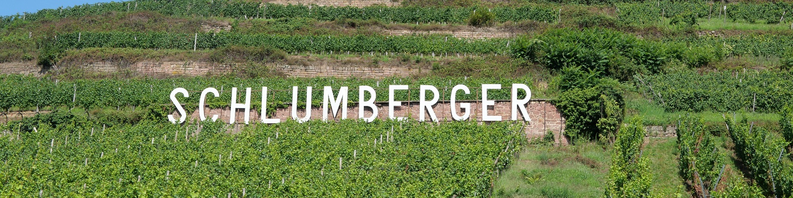 Domaines Schlumberger