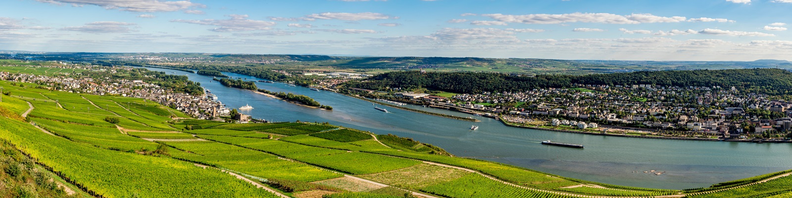 Ein weites Landschaftsbild mit grünen Weinbergen, einem Fluss, der sich durch die Szene schlängelt, und kleinen Städten am Ufer. Der Himmel ist klar mit vereinzelten Wolken.
