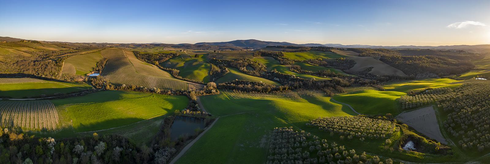 Weite grüne Hügel und Weinberge erstrecken sich bis zum Horizont. Ein kleiner Teich reflektiert das Licht des Sonnenuntergangs, während sanfte Bögen von Wegen die Landschaft durchziehen.