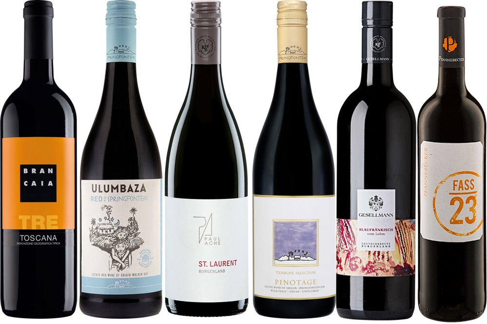 Best of Bio Rotwein Sechs Weinflaschen sind auf einem Tisch angeordnet. Die Flaschen haben unterschiedliche Designs und Etiketten, die italienische, spanische und andere Weine darstellen.