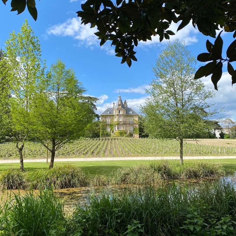 Ein elegantes Schloss steht umgeben von Weinreben und Bäumen. Im Vordergrund fließt ein kleiner Teich, während der Himmel klar mit einigen Wolken ist.
