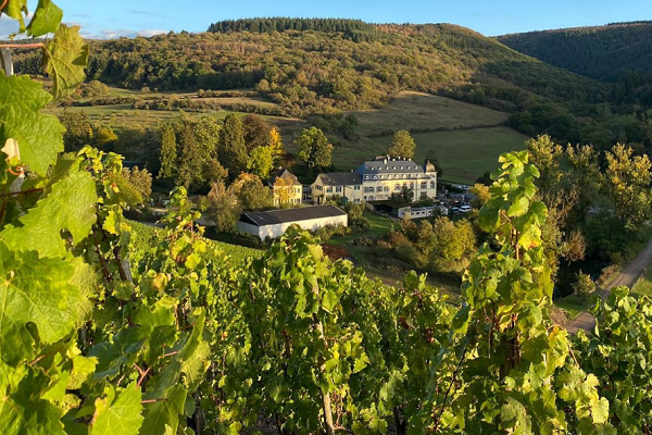 Scharzhof_Weingut_Egon_Müller600x400 Reben wachsen in einem Weinberg, während im Hintergrund ein Anwesen und eine Umgebung mit Bäumen und sanften Hügeln sichtbar sind. Die Szene vermittelt eine ruhige, ländliche Atmosphäre.
