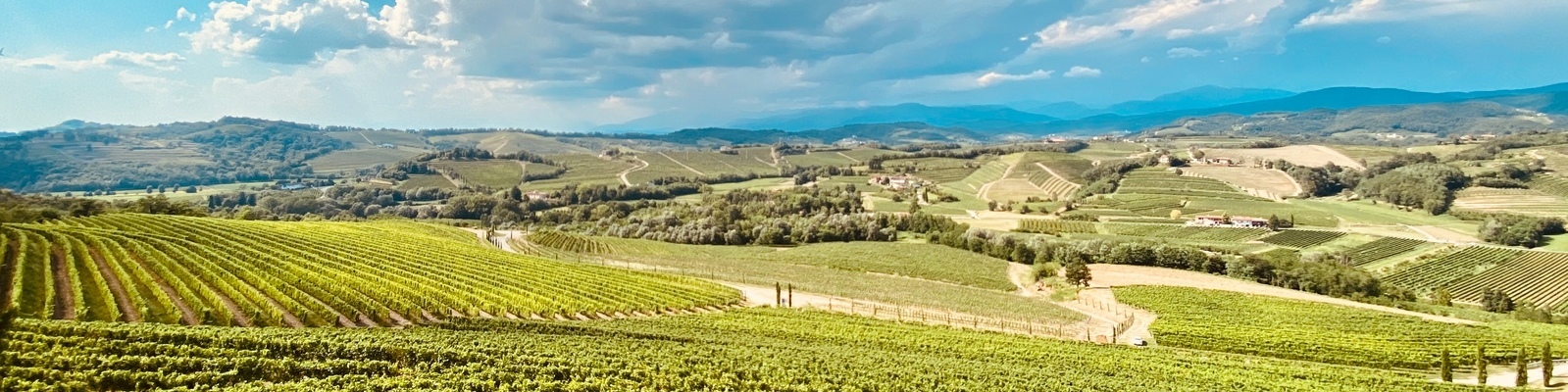 Weite Weinberge erstrecken sich über sanfte Hügel, während sich in der Ferne Berge und ein strahlend blauer Himmel mit einigen Wolken zeigen. Ein ruhiger, ländlicher Weg führt durch die Landschaft.