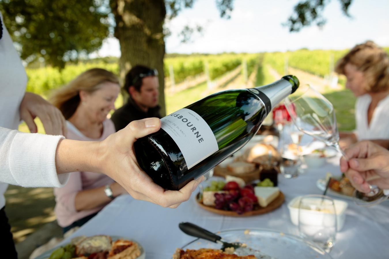 Eine Hand hält eine Flasche Sekt, während eine Gruppe von Menschen an einem Tisch mit Essen im Freien sitzt. Im Hintergrund sind Weinreben und eine sonnige Landschaft sichtbar.